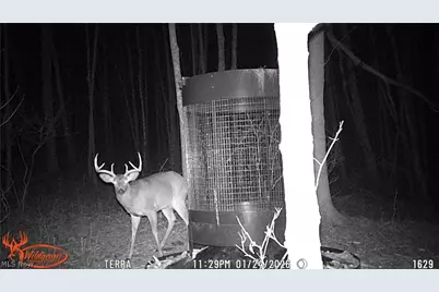Cr 425, Fresno, OH 43824 - Photo 47