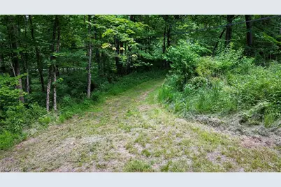 Cr 425, Fresno, OH 43824 - Photo 23