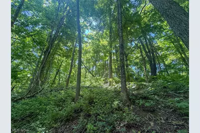Keffer Rd, Stockport, OH 43787 - Photo 19
