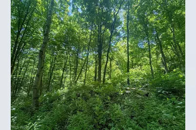 Keffer Rd, Stockport, OH 43787 - Photo 13