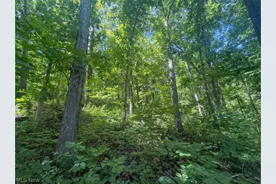 Keffer Rd, Stockport, OH 43787 - Photo 17