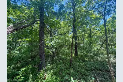 Keffer Rd, Stockport, OH 43787 - Photo 23