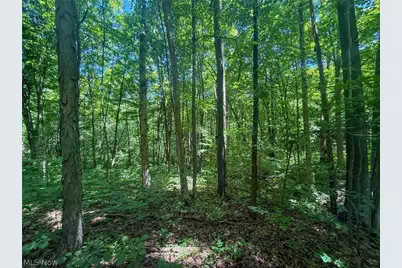 Keffer Rd, Stockport, OH 43787 - Photo 9