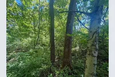Keffer Rd, Stockport, OH 43787 - Photo 1
