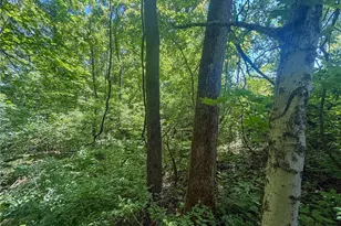 Keffer Rd, Stockport, OH 43787 - Photo 1