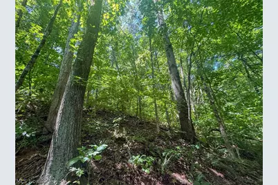 Keffer Rd, Stockport, OH 43787 - Photo 15