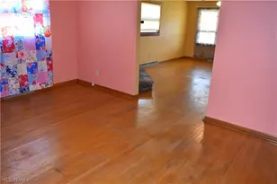 25 W 48th St, Shadyside, OH 43947 - Photo 5