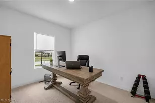 4377 Orchard Ave, Perry, OH 44081 - Photo 25