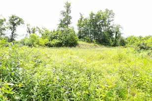 46390 State Route 536, Woodsfield, OH 43793 - Photo 33