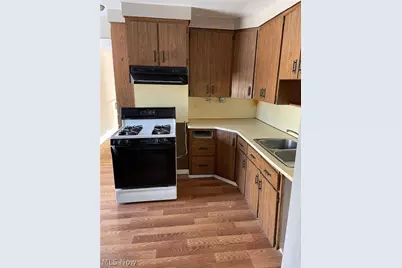 1334 E 188th Street, Loveland, OH 44110 - Photo 5