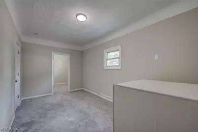 4438 Pearl Road, Loveland, OH 44109 - Photo 39