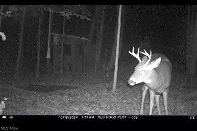 18821 Munn Road, Auburn, OH 44023 - Photo 37