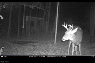 18821 Munn Rd, Auburn, OH 44023 - Photo 37