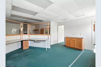 244 Mill Street, Conneaut, OH 44030 - Photo 21