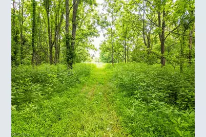 Taylor Road, Cambridge, OH 43725 - Photo 37
