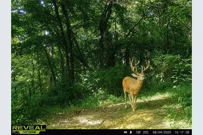 Taylor Road, Cambridge, OH 43725 - Photo 9
