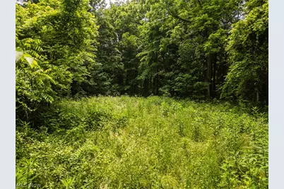 Taylor Road, Cambridge, OH 43725 - Photo 27