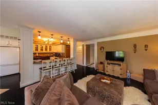 1115 Canyon View Rd, Sagamore Hills, OH 44067 - Photo 9
