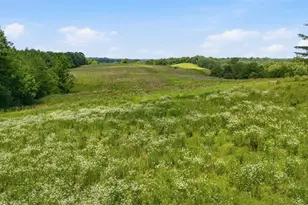 4731 State Route 555, Little Hocking, OH 45742 - Photo 15