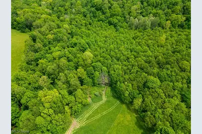 County Road 407, Millersburg, OH 44654 - Photo 29