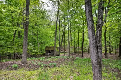 410 Apple Hill Drive N, Howard, OH 43028 - Photo 31