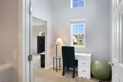 1117 Grove Lane, Medina, OH 44256 - Photo 19
