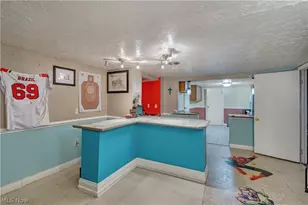250 Greenridge Dr, Geneva, OH 44041 - Photo 29