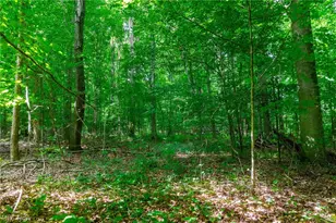 11861 Hidden Lake Dr, Marshallville, OH 44645 - Photo 47