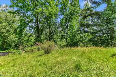 1585 Egypt Road, Salem, OH 44460 - Photo 13