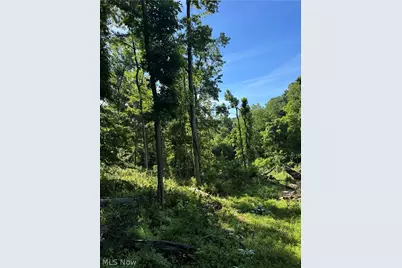Stone Quarry Road, Danville, OH 43014 - Photo 27