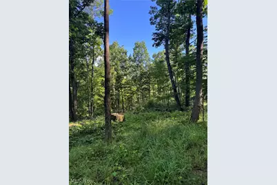 Stone Quarry Road, Danville, OH 43014 - Photo 17