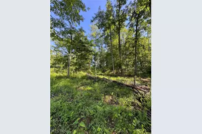 Stone Quarry Road, Danville, OH 43014 - Photo 37