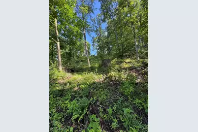 Stone Quarry Road, Danville, OH 43014 - Photo 39