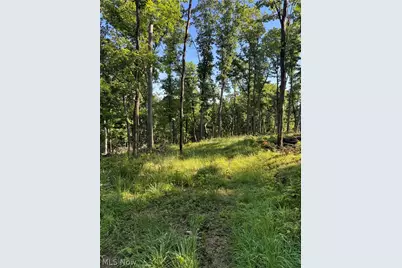 Stone Quarry Road, Danville, OH 43014 - Photo 9