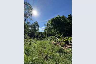 Stone Quarry Road, Danville, OH 43014 - Photo 35