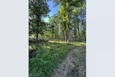 Stone Quarry Road, Danville, OH 43014 - Photo 11