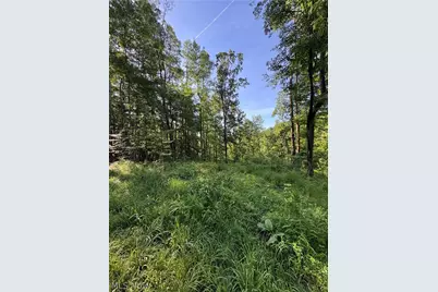 Stone Quarry Road, Danville, OH 43014 - Photo 41