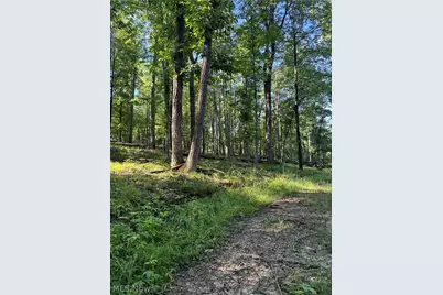 Stone Quarry Road, Danville, OH 43014 - Photo 13