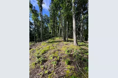 Stone Quarry Road, Danville, OH 43014 - Photo 5