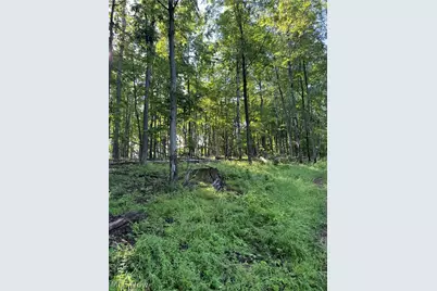 Stone Quarry Road, Danville, OH 43014 - Photo 21
