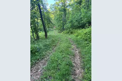 Stone Quarry Road, Danville, OH 43014 - Photo 45