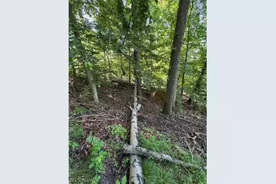 Stone Quarry Road, Danville, OH 43014 - Photo 25
