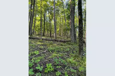 Stone Quarry Road, Danville, OH 43014 - Photo 15