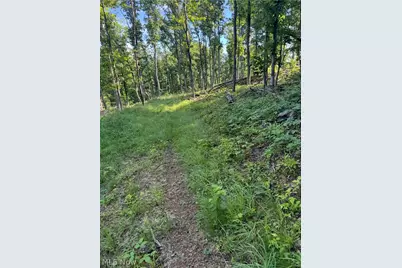 Stone Quarry Road, Danville, OH 43014 - Photo 49