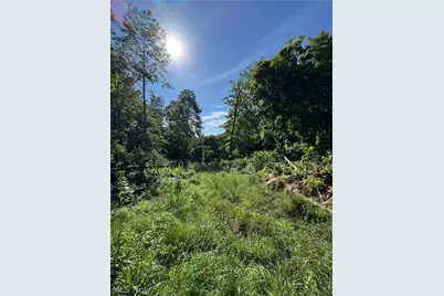 Stone Quarry Road, Danville, OH 43014 - Photo 31