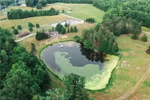 10036 Wilson Mills Rd, Chardon, OH 44024 - Photo 27