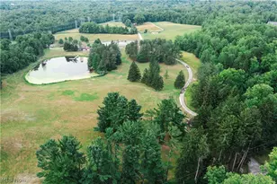 10036 Wilson Mills Rd, Chardon, OH 44024 - Photo 25