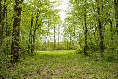 12025 Pleasant Valley Road, Frazeysburg, OH 43822 - Photo 15