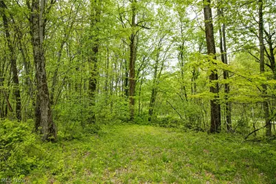 12025 Pleasant Valley Road, Frazeysburg, OH 43822 - Photo 9