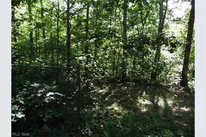 280 Linton Hill Road, Coolville, OH 45723 - Photo 9